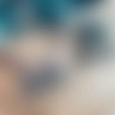 星空体育